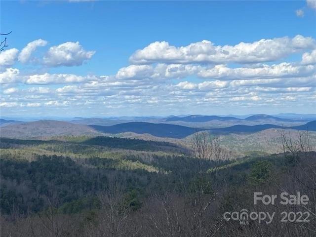 Pine Ridge Dr, Connelly Springs, NC 28612