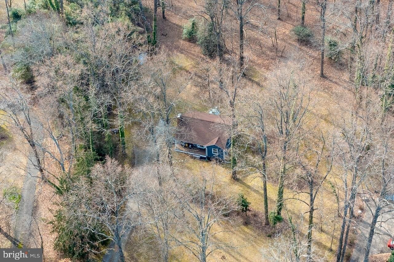 Forest Dr, Bowie, MD 20715