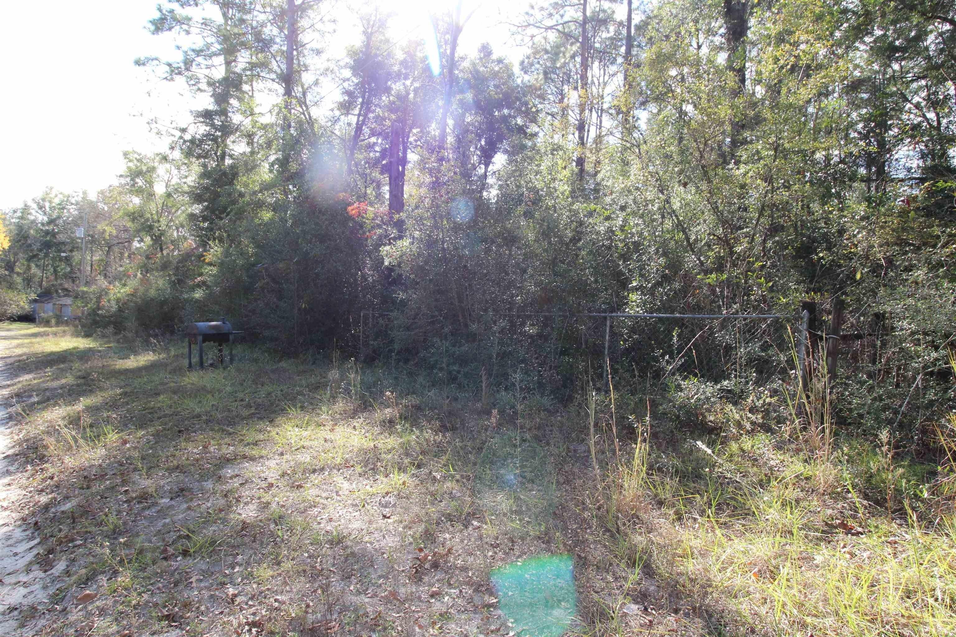 Rosewood Rd, Crawfordville, FL 32327