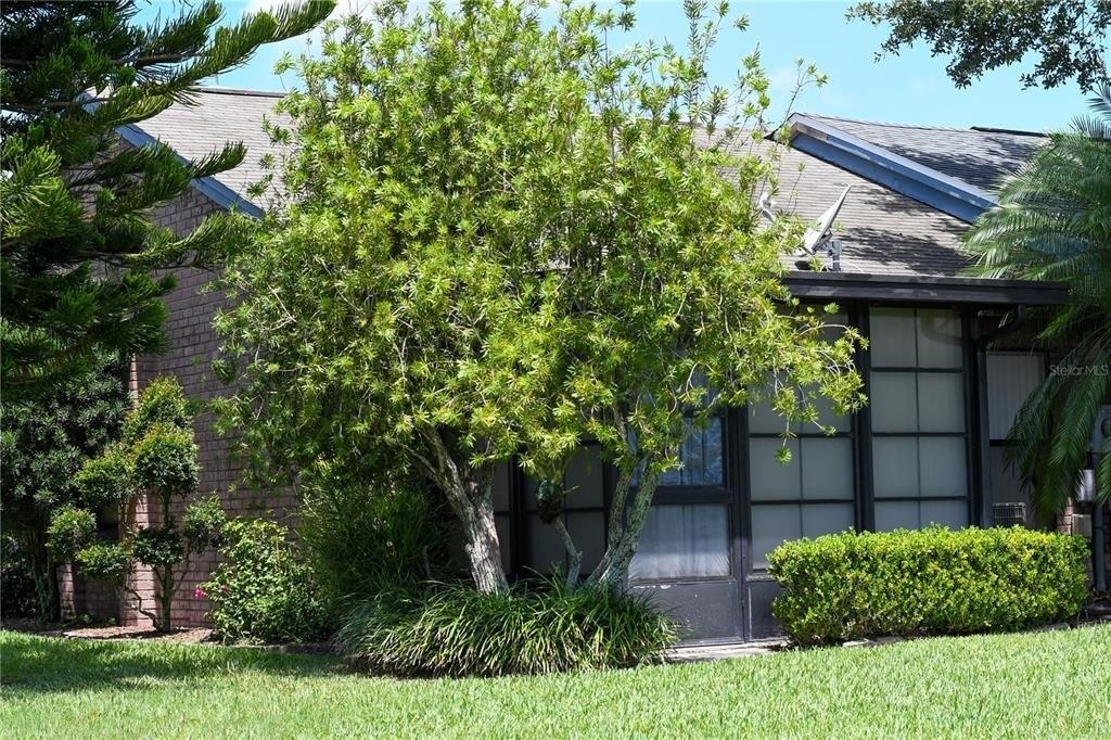 King Oak Ln, Saint Cloud, FL 34769
