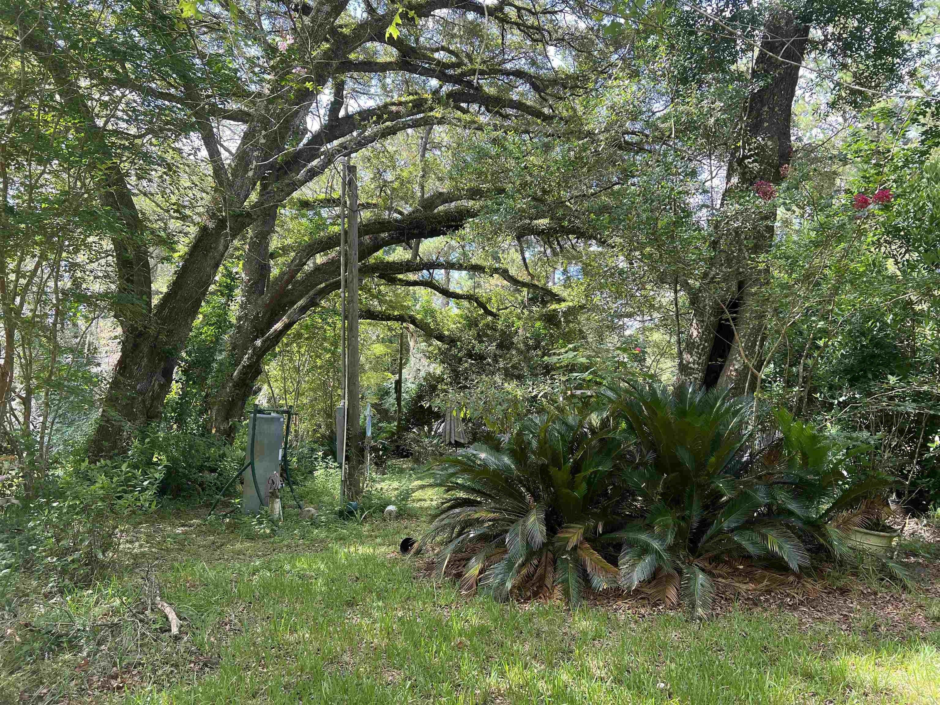 S Horseshoe Rd, Tallahassee, FL 32317
