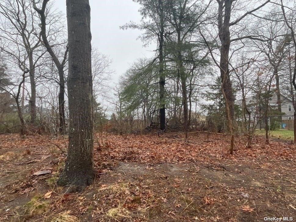 Woodycrest Dr, Farmingville, NY 11738