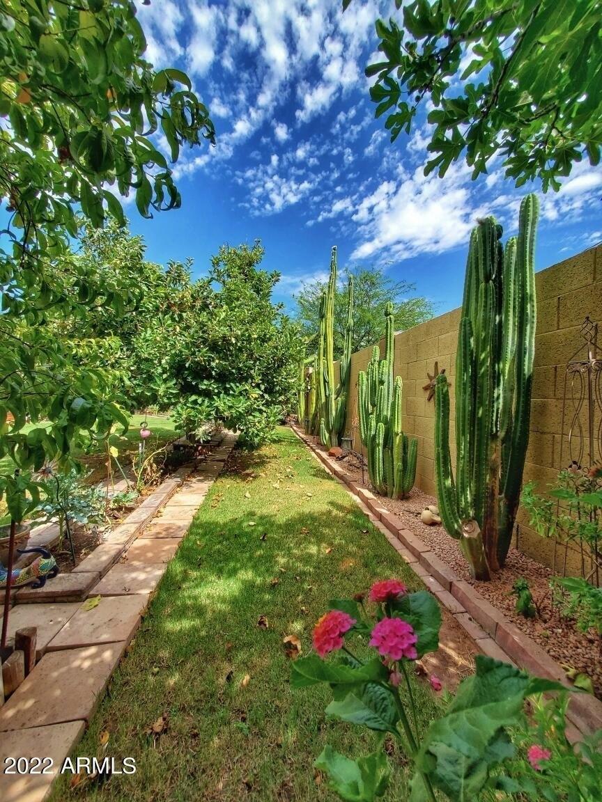 E Kiva Ave, Mesa, AZ 85209