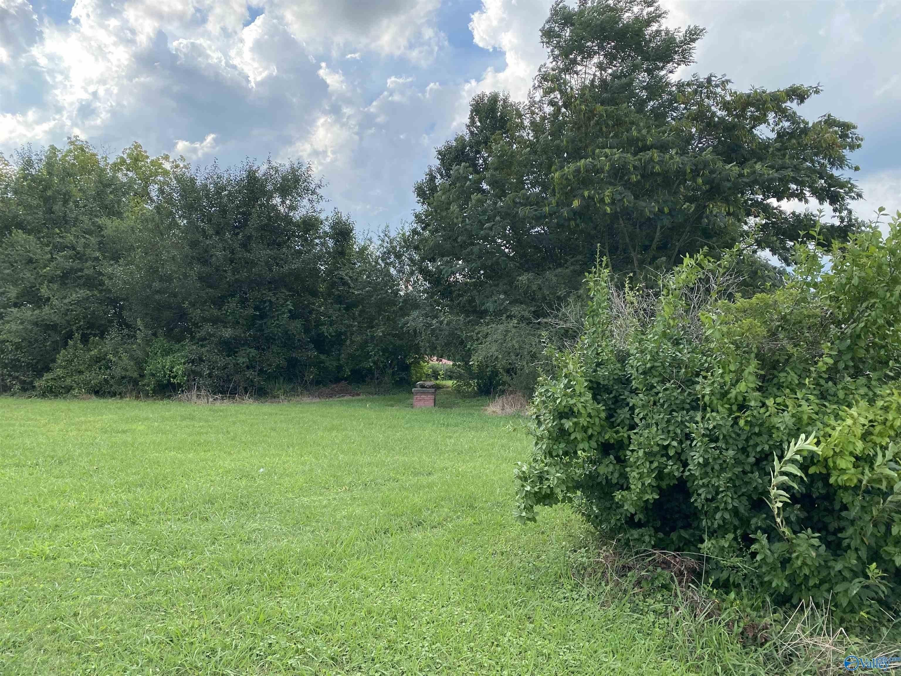 Guntersville Rd, Arab, AL 35016