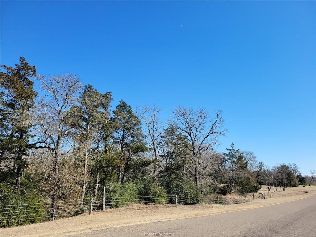 Saddle Creek Dr, College Station, TX 77845