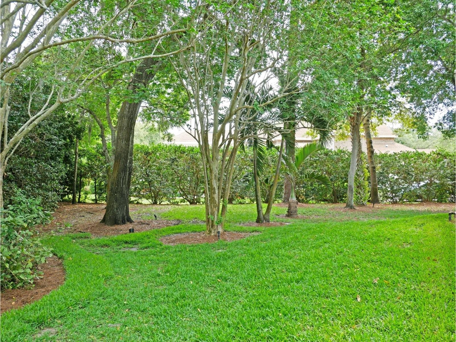 Mackenzie Ct, Clearwater, FL 33765