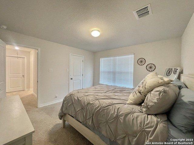 Wood Sedge, San Antonio, TX 78254