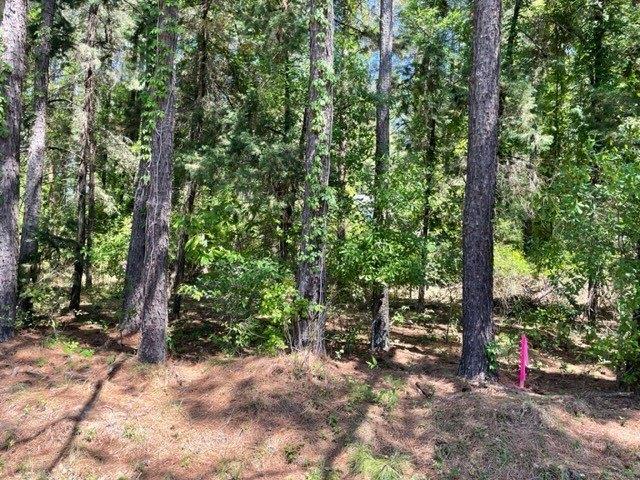 Whitetail Ln, Orangeburg, SC 29115
