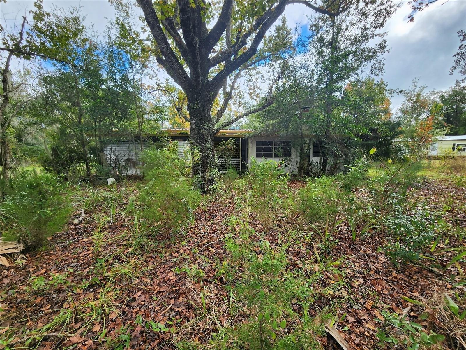 N Dunkenfield Ave, Crystal River, FL 34429