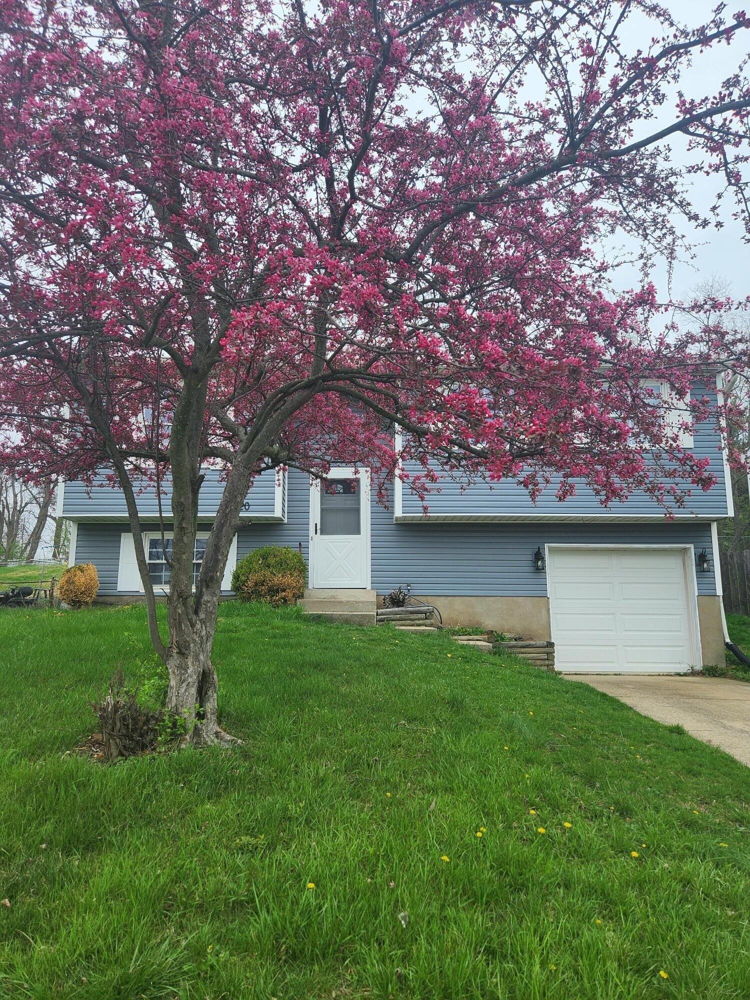 Spring Valley Dr, Erlanger, KY 41018