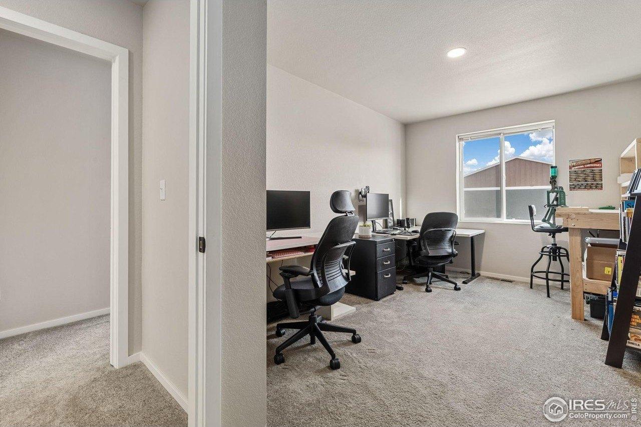 Ronald Reagan Ave, Wellington, CO 80549