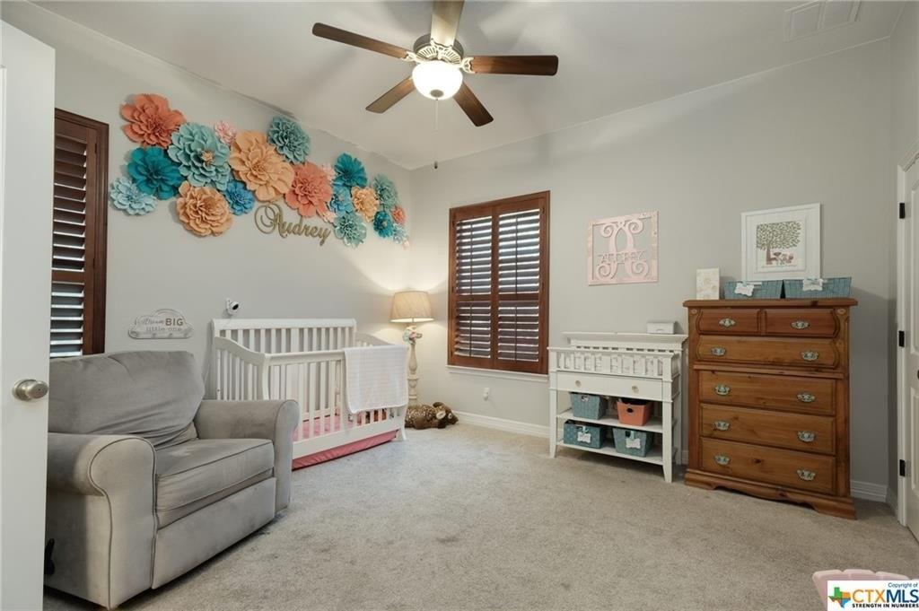 Sarahs Ln, Liberty Hill, TX 78642
