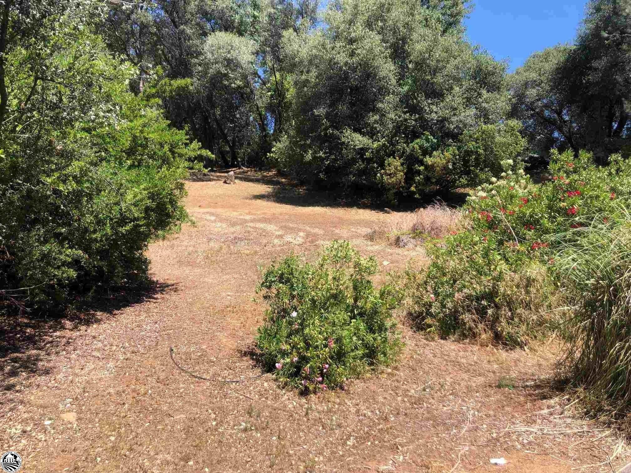 Bay Meadows Dr, Sonora, CA 95370