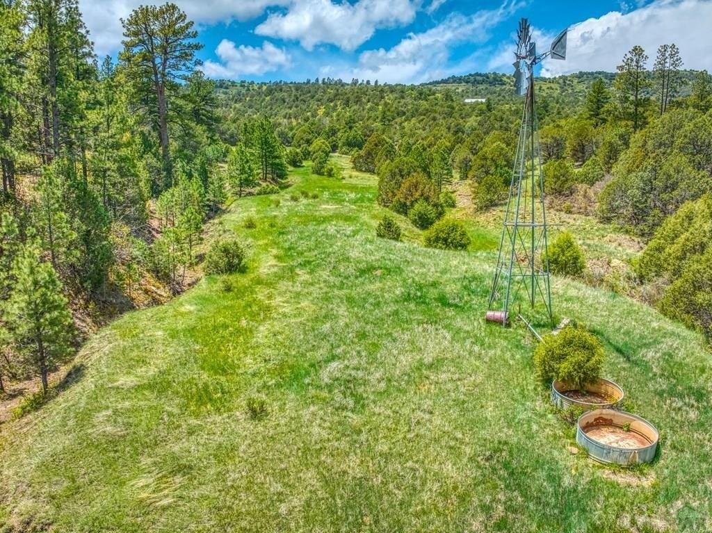Little Bear Dr, Trinidad, CO 81082
