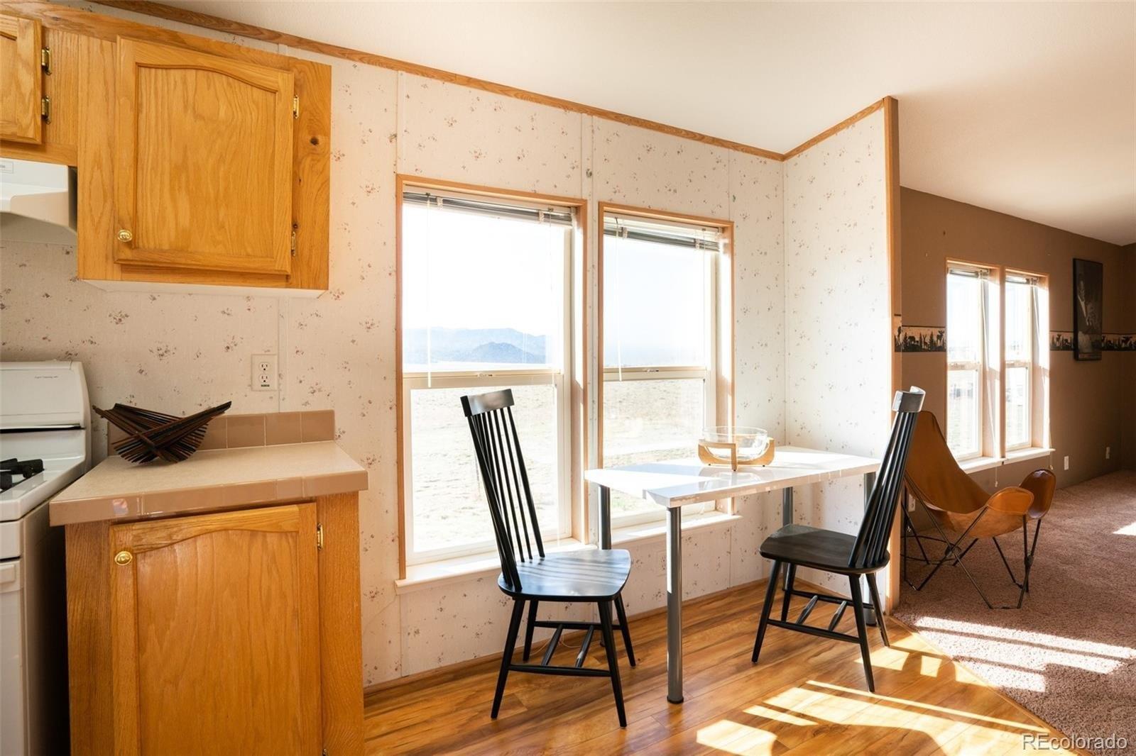 Meadow Ln, Buena Vista, CO 81211