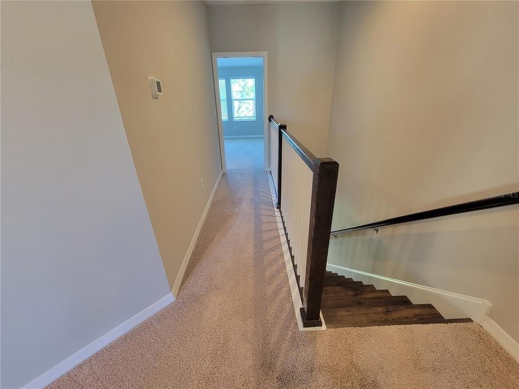 Southwell Ln, Wesley Chapel, FL 33543