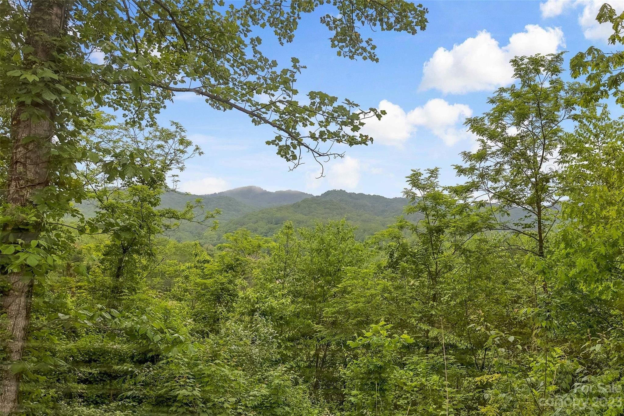 Bartram Way, Black Mountain, NC 28711