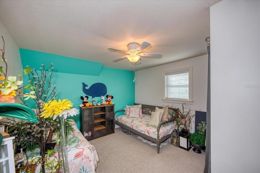 Lakeview Dr, New Port Richey, FL 34654