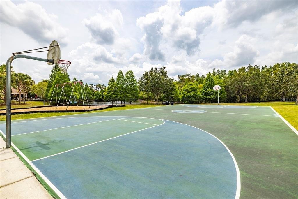 Pumpkin Ridge Dr, Wesley Chapel, FL 33543