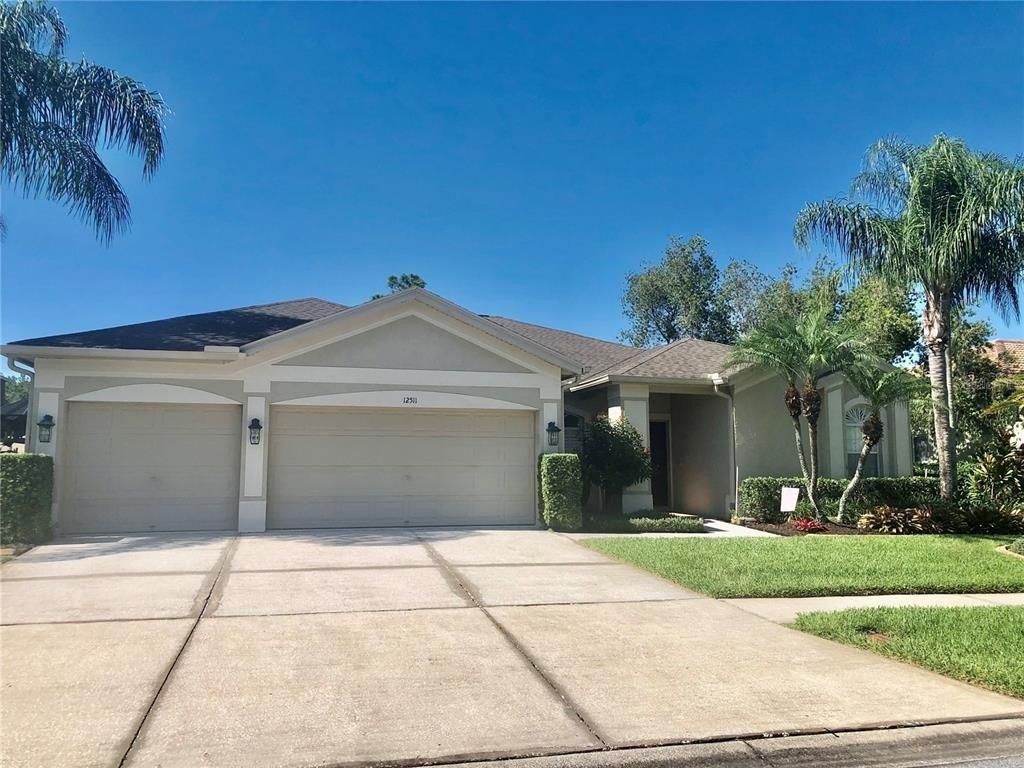 Royal Dublin Ave, Odessa, FL 33556