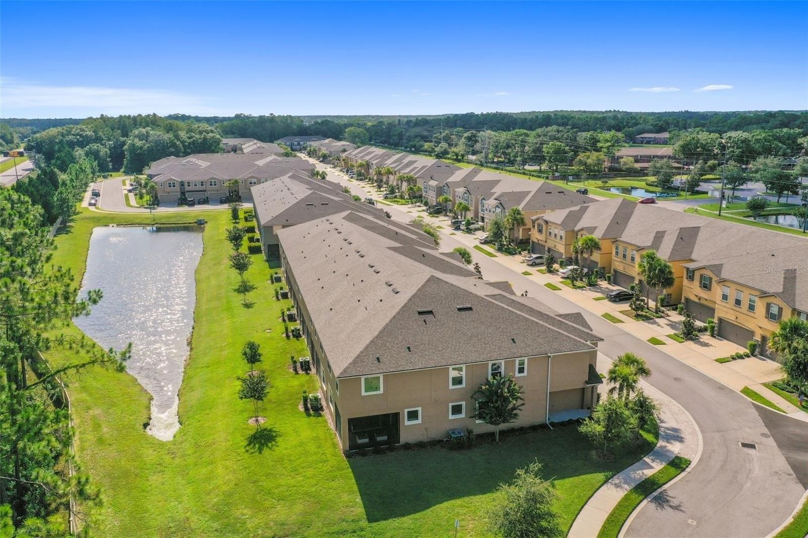 Grand Sonata Ave, Lutz, FL 33558