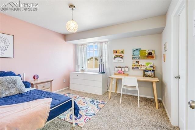 Raccoon Ln, Pueblo, CO 81005