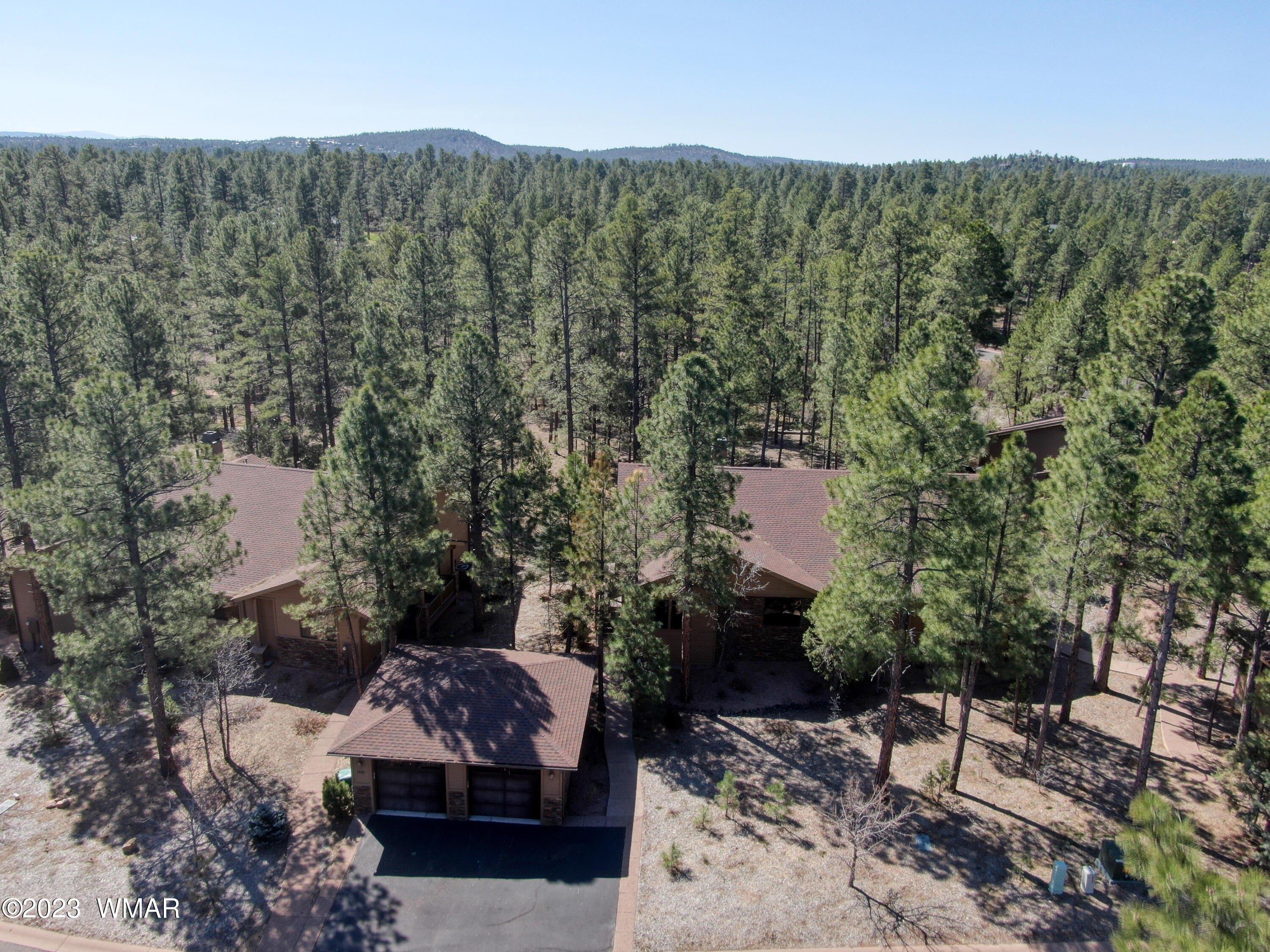 W Black Oak Loop, Show Low, AZ 85901