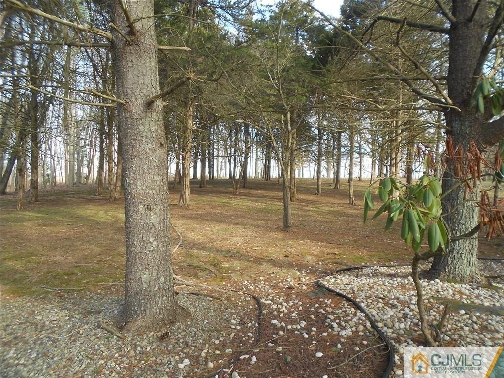 Butler Rd, Princeton, NJ 08540