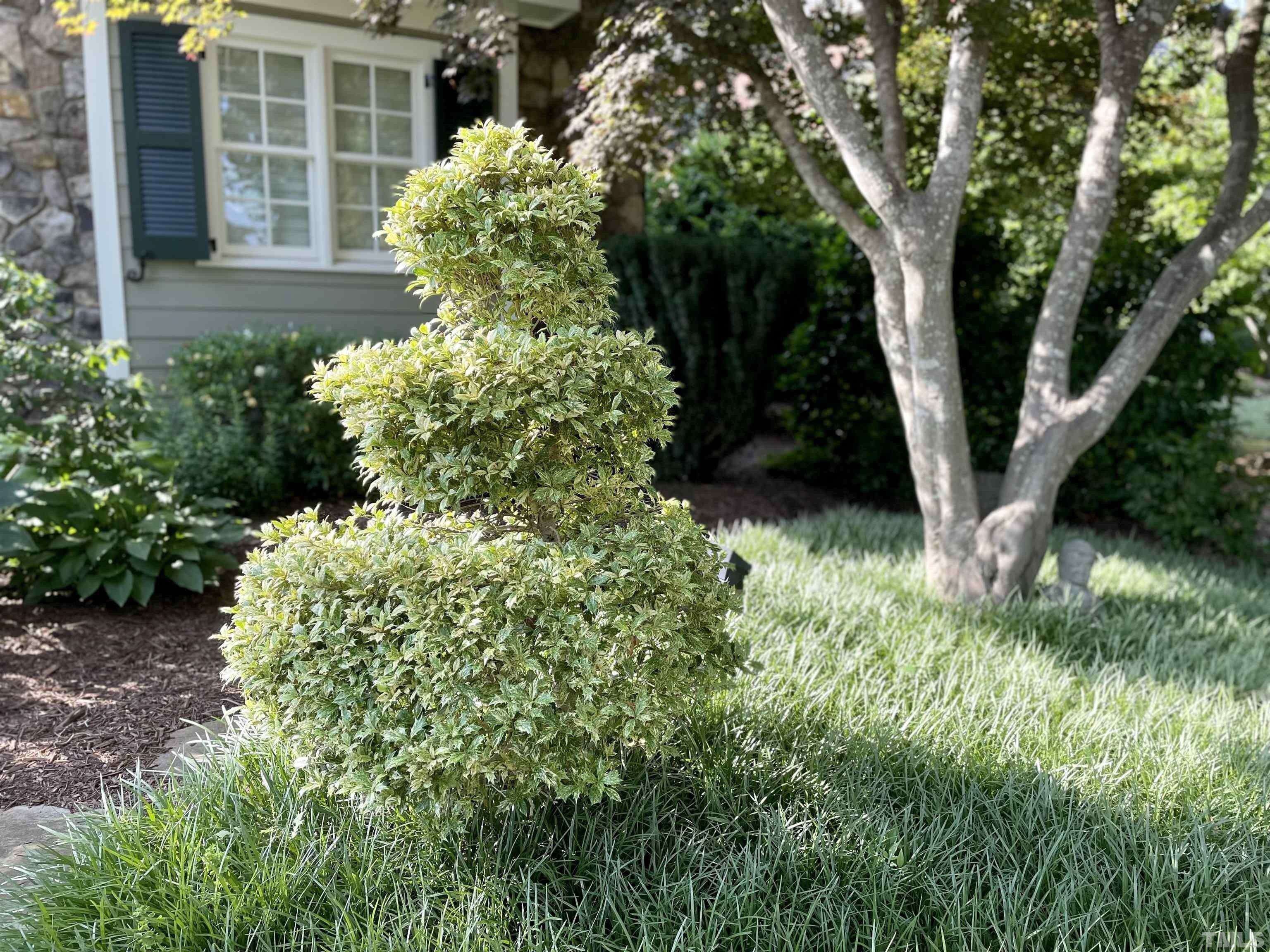 Anderson Dr, Raleigh, NC 27608