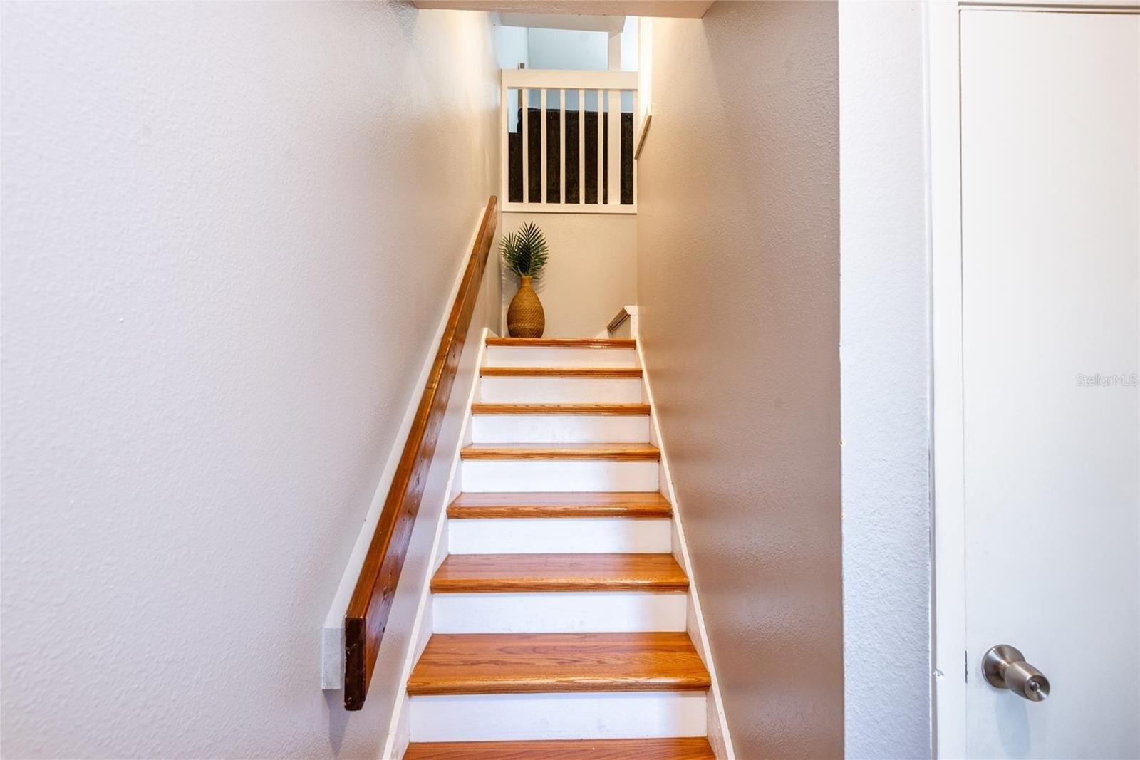St Josephs Dr W, Dunedin, FL 34698