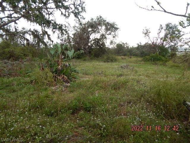 Washington Loop Rd, Punta Gorda, FL 33982