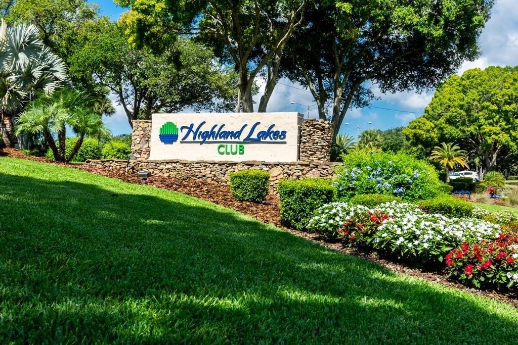 Gillespie Dr N, Palm Harbor, FL 34684