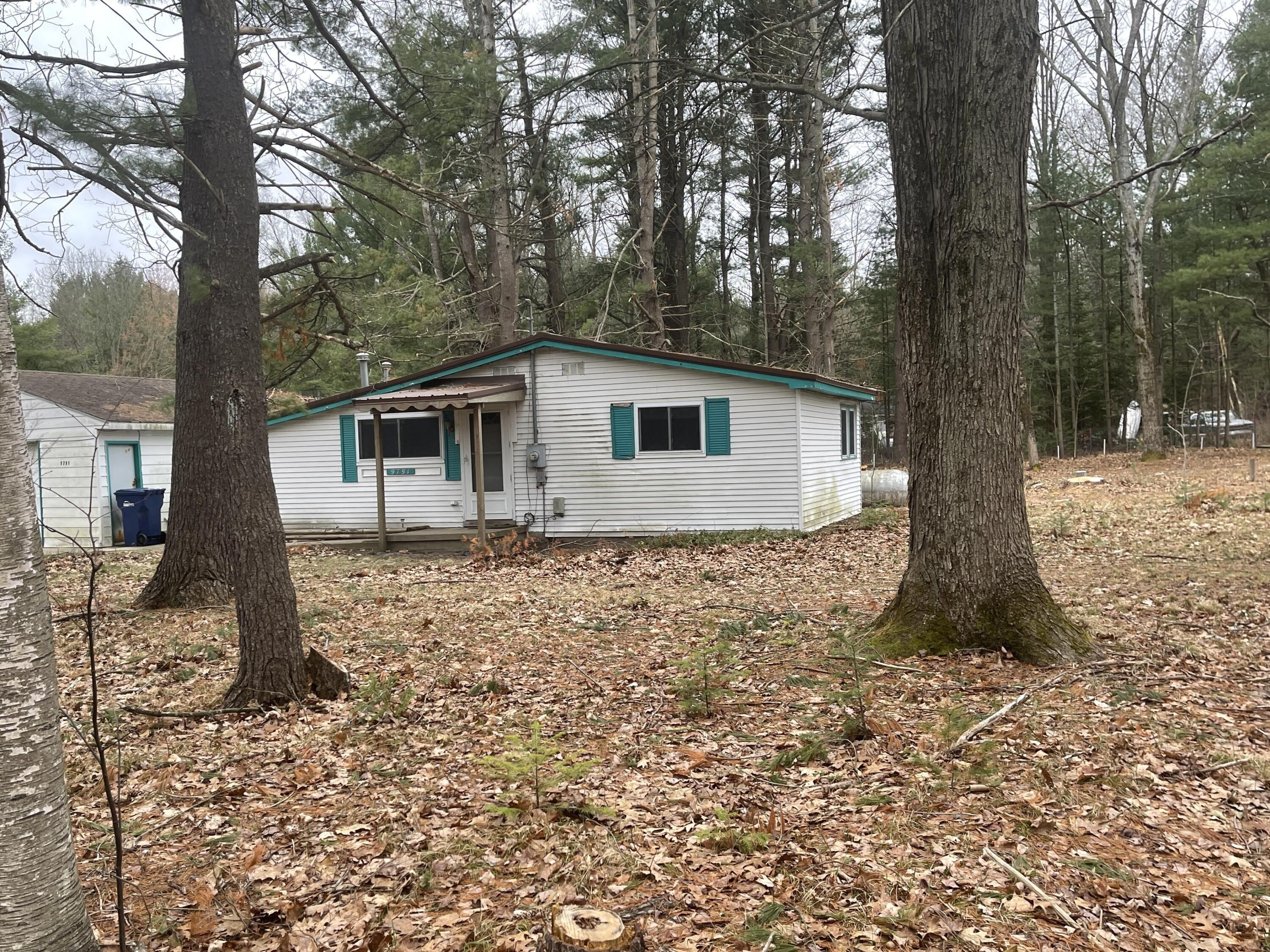 Cadillac Dr, Lake, MI 48632