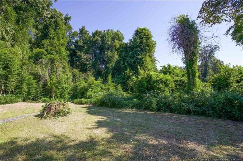 Mcreynolds St, Carthage, NC 28327