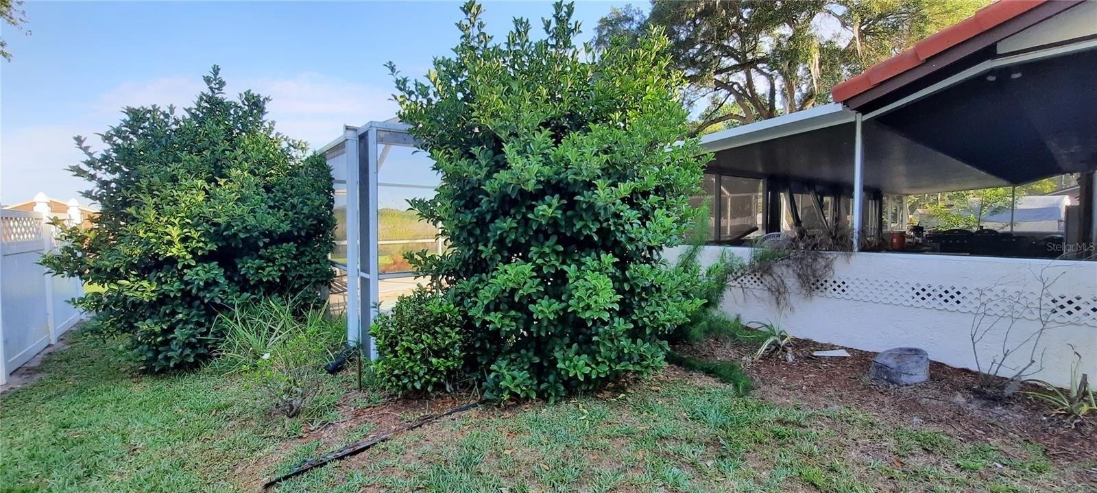 Se 169th Avenue Rd, Silver Springs, FL 34488