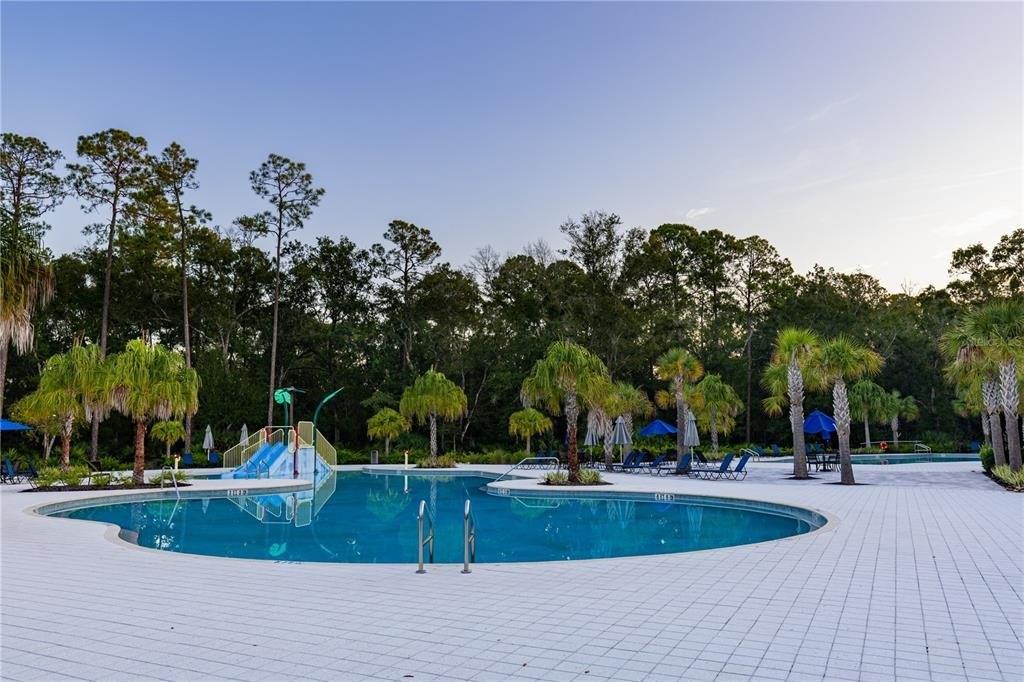 Pine Ribbon Dr, Land O Lakes, FL 34638