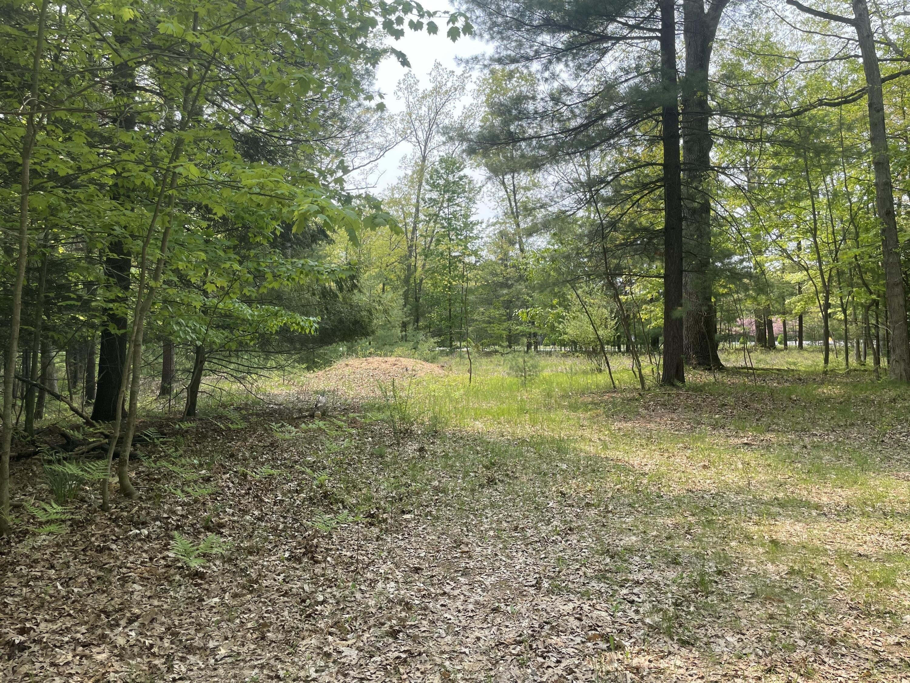 Bryant Rd, Ludington, MI 49431