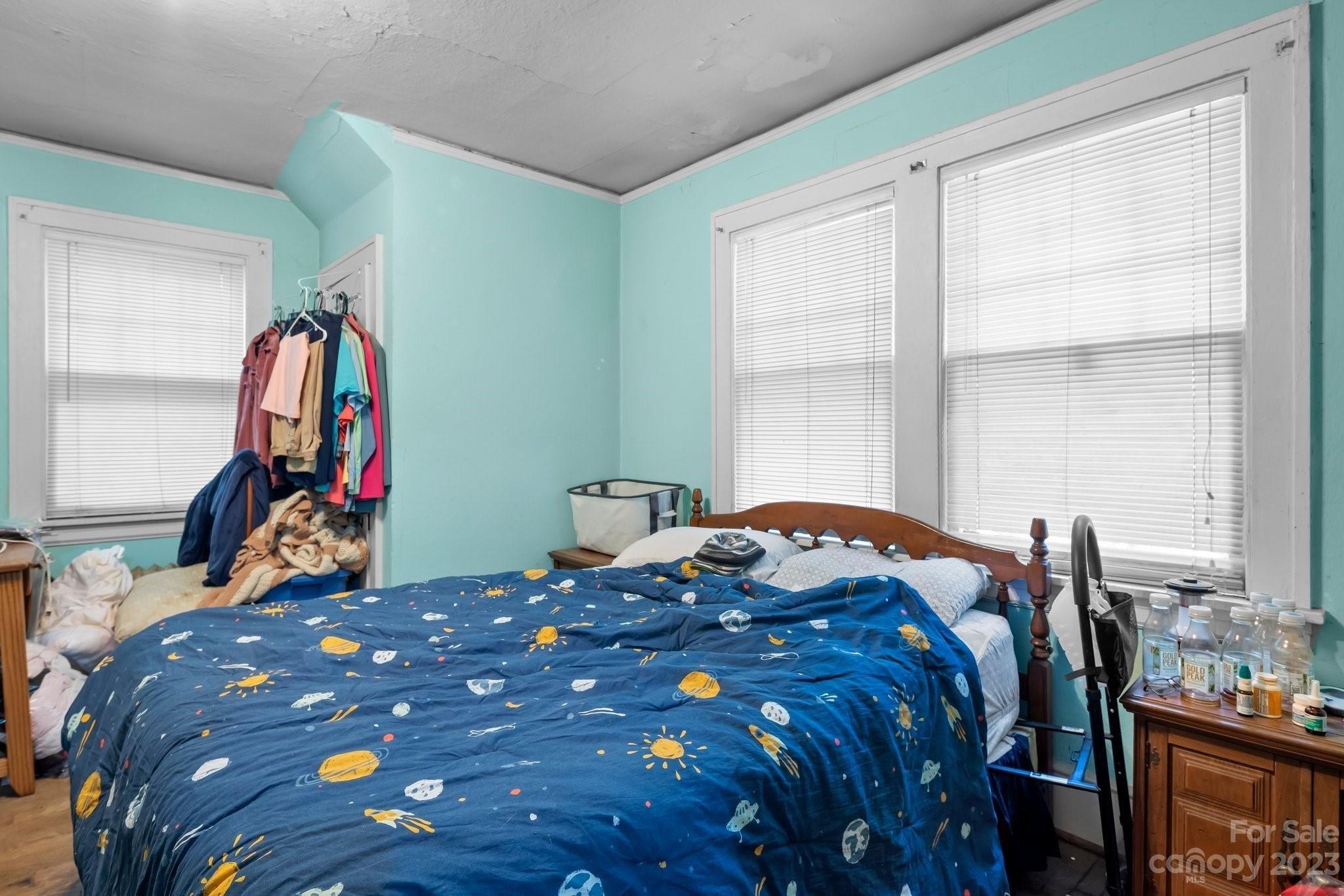 Vineyard Pl, Asheville, NC 28804