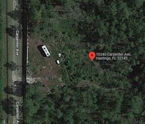 Carpenter Ave, Hastings, FL 32145