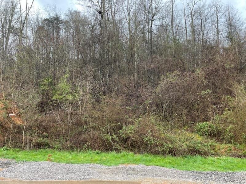 Calgary Falls Ln, Knoxville, TN 37931