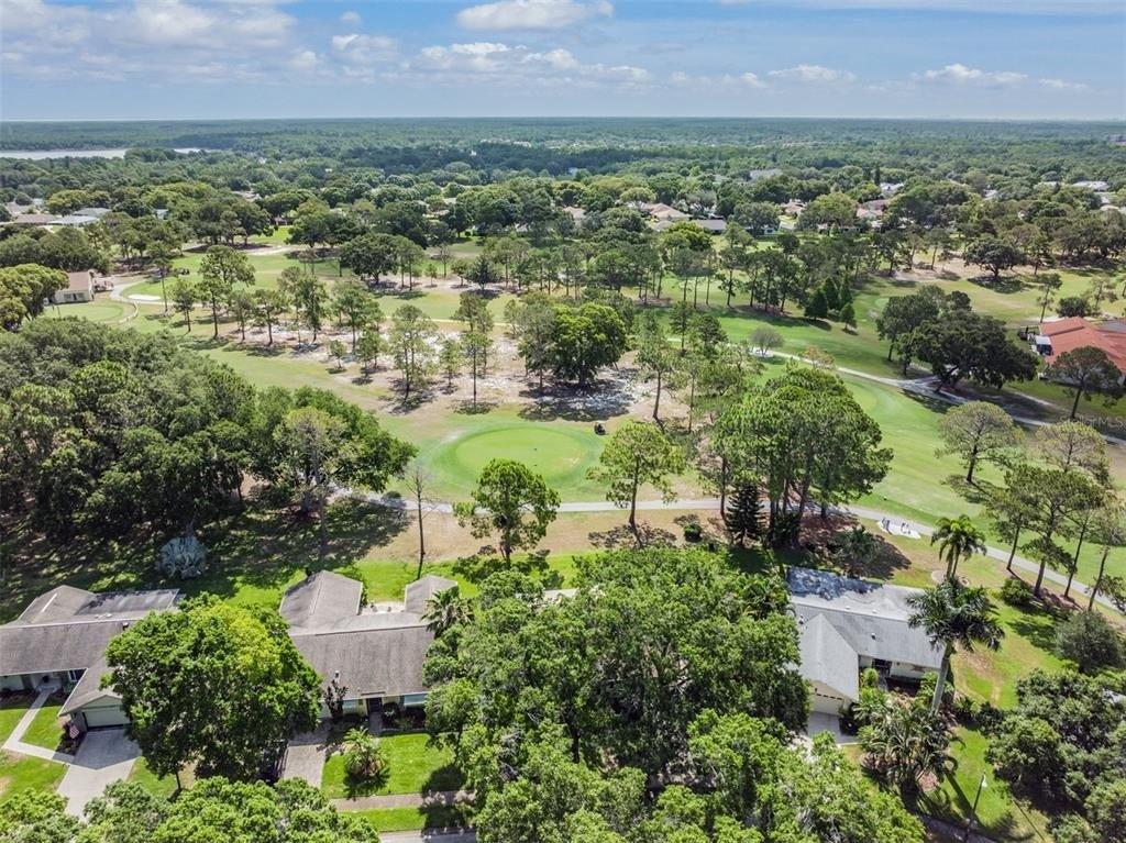 Hilary Cir, Palm Harbor, FL 34684
