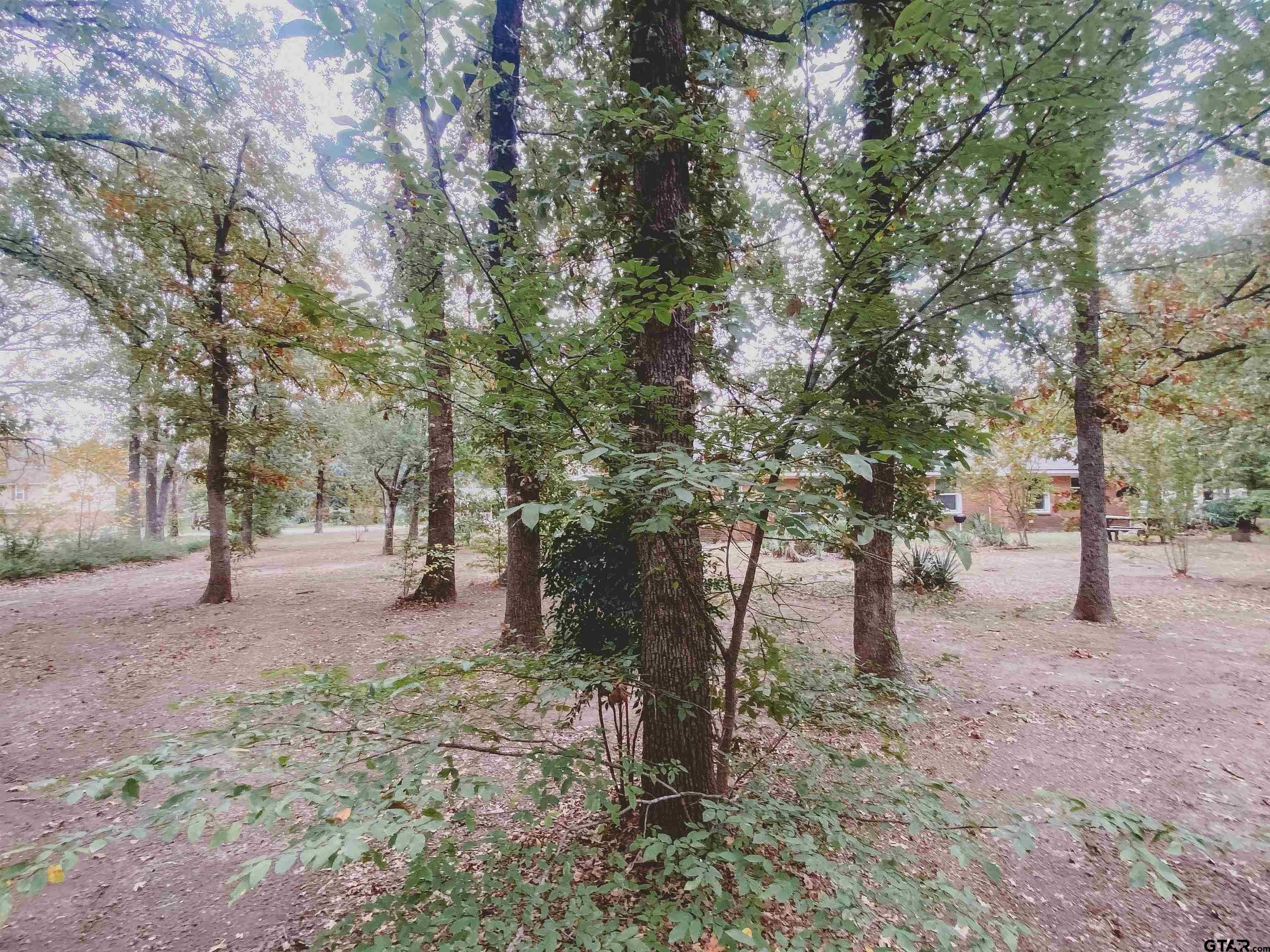 N Oaks Dr, Grand Saline, TX 75140