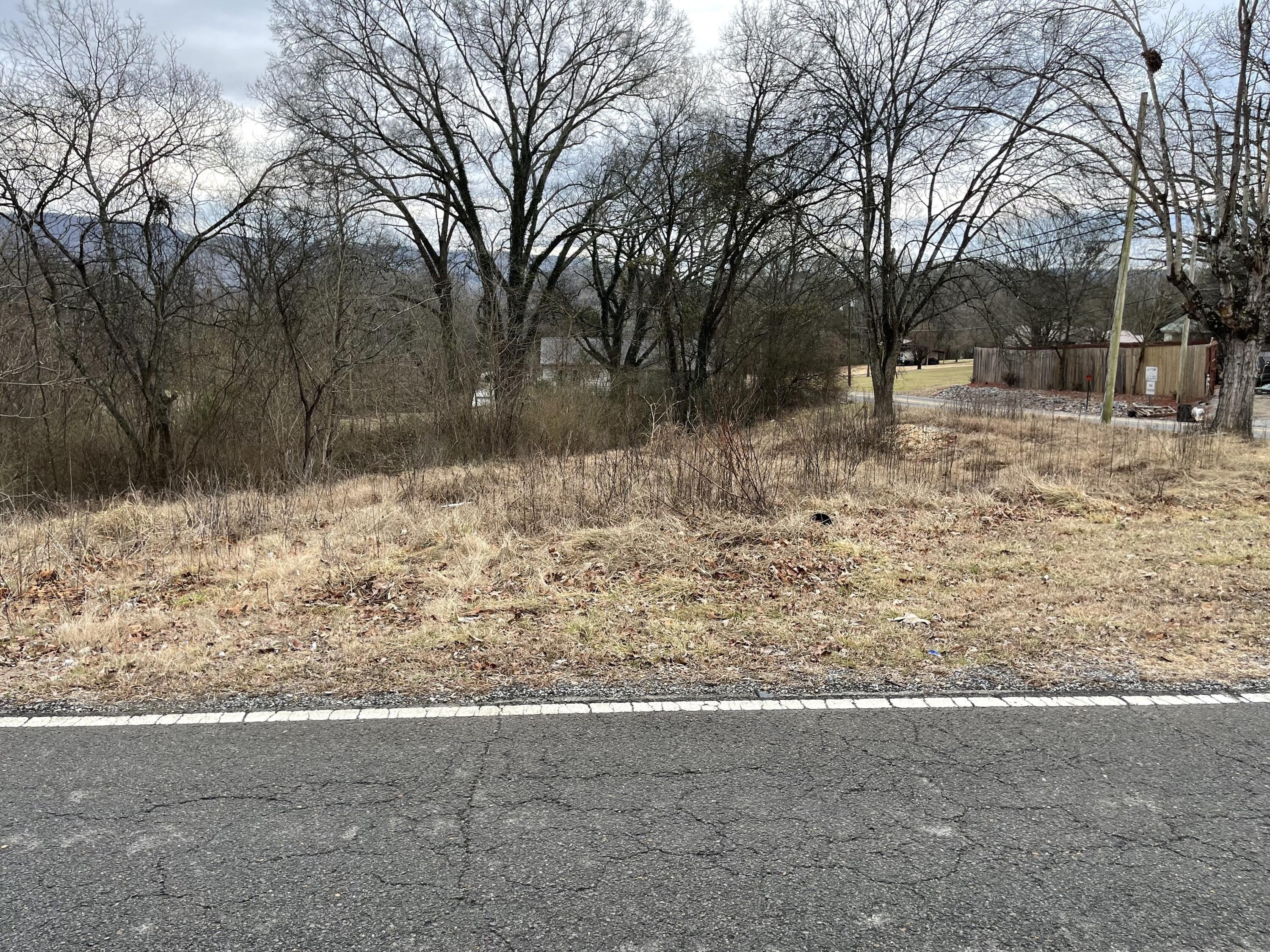 Dr Lee Ave, Bridgeport, AL 35740