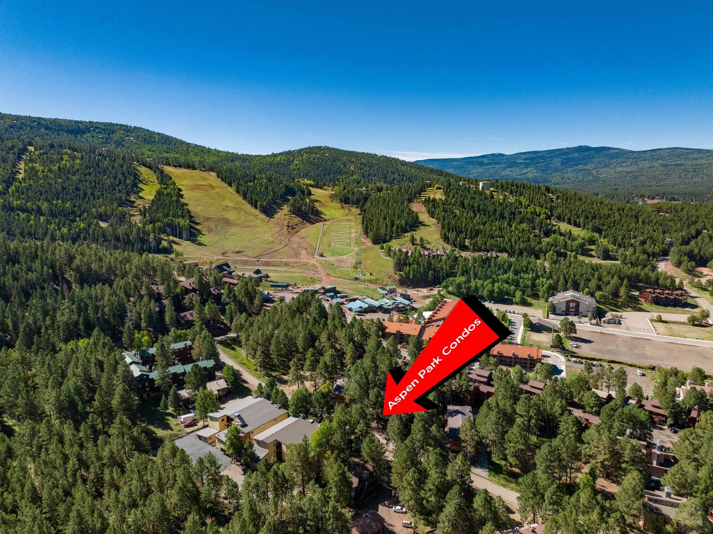 Jackson Hole Rd, Angel Fire, NM 87710