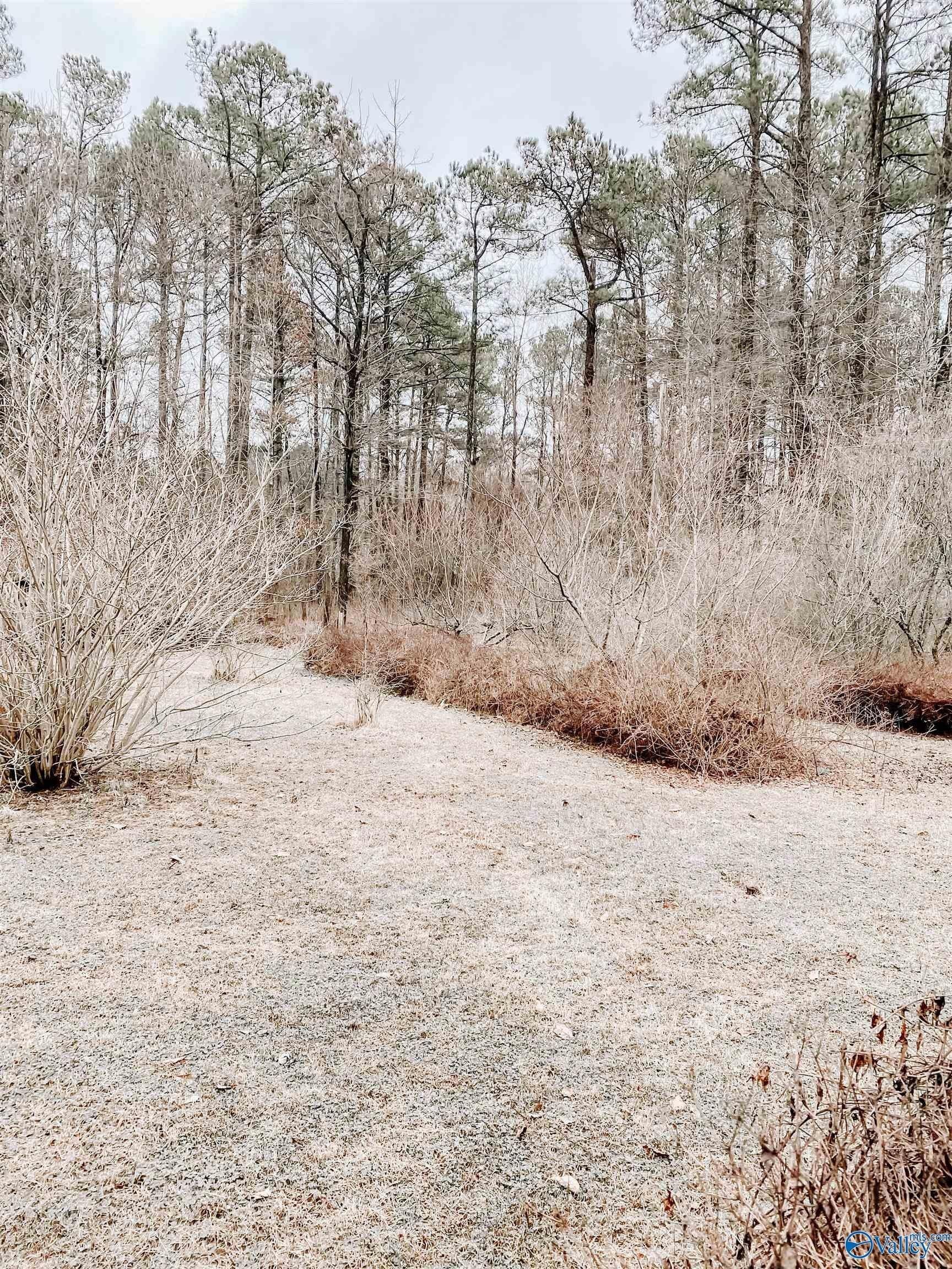 Lake Dr, Scottsboro, AL 35769