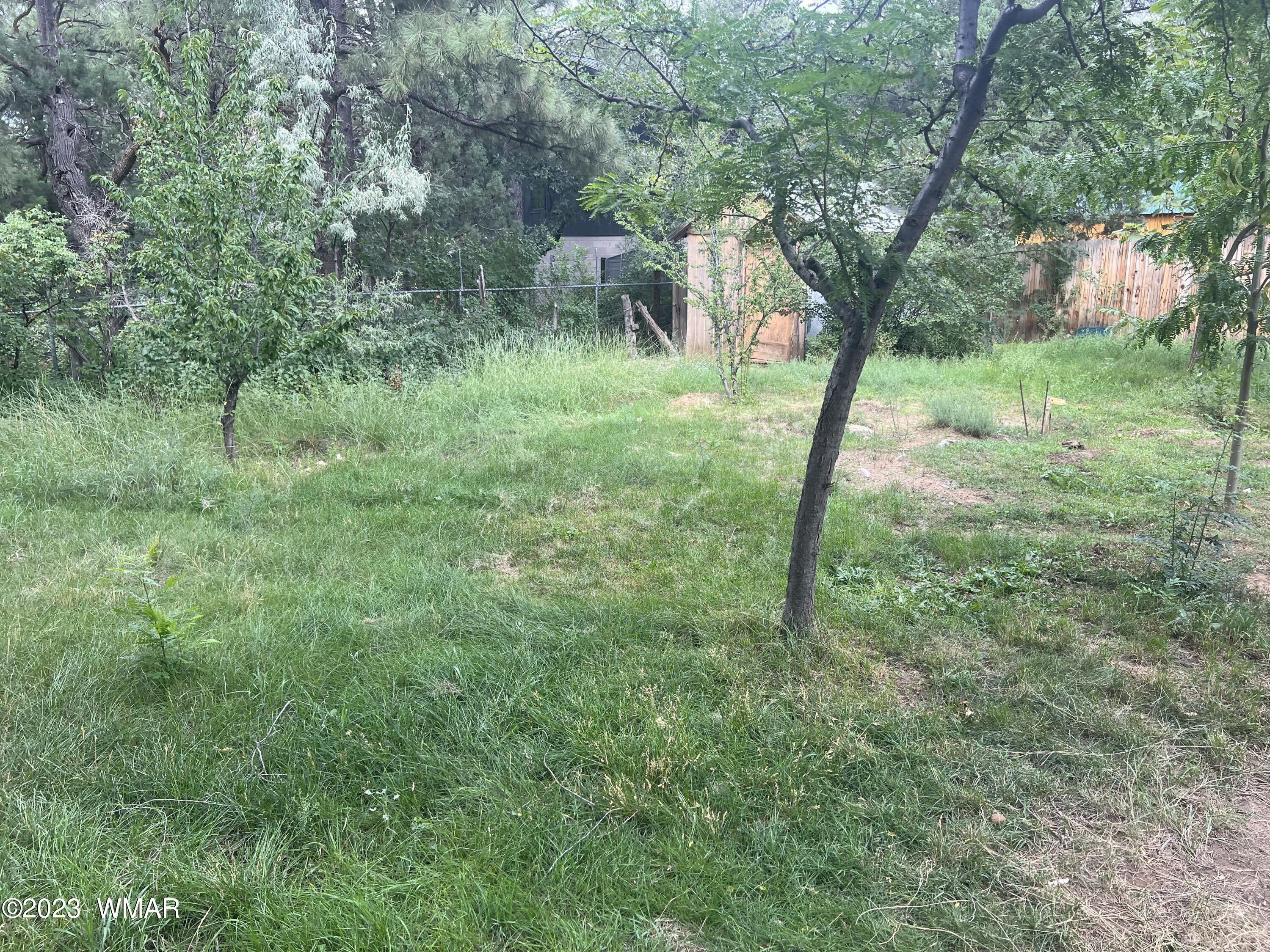 Stradling Ln, Lakeside, AZ 85929