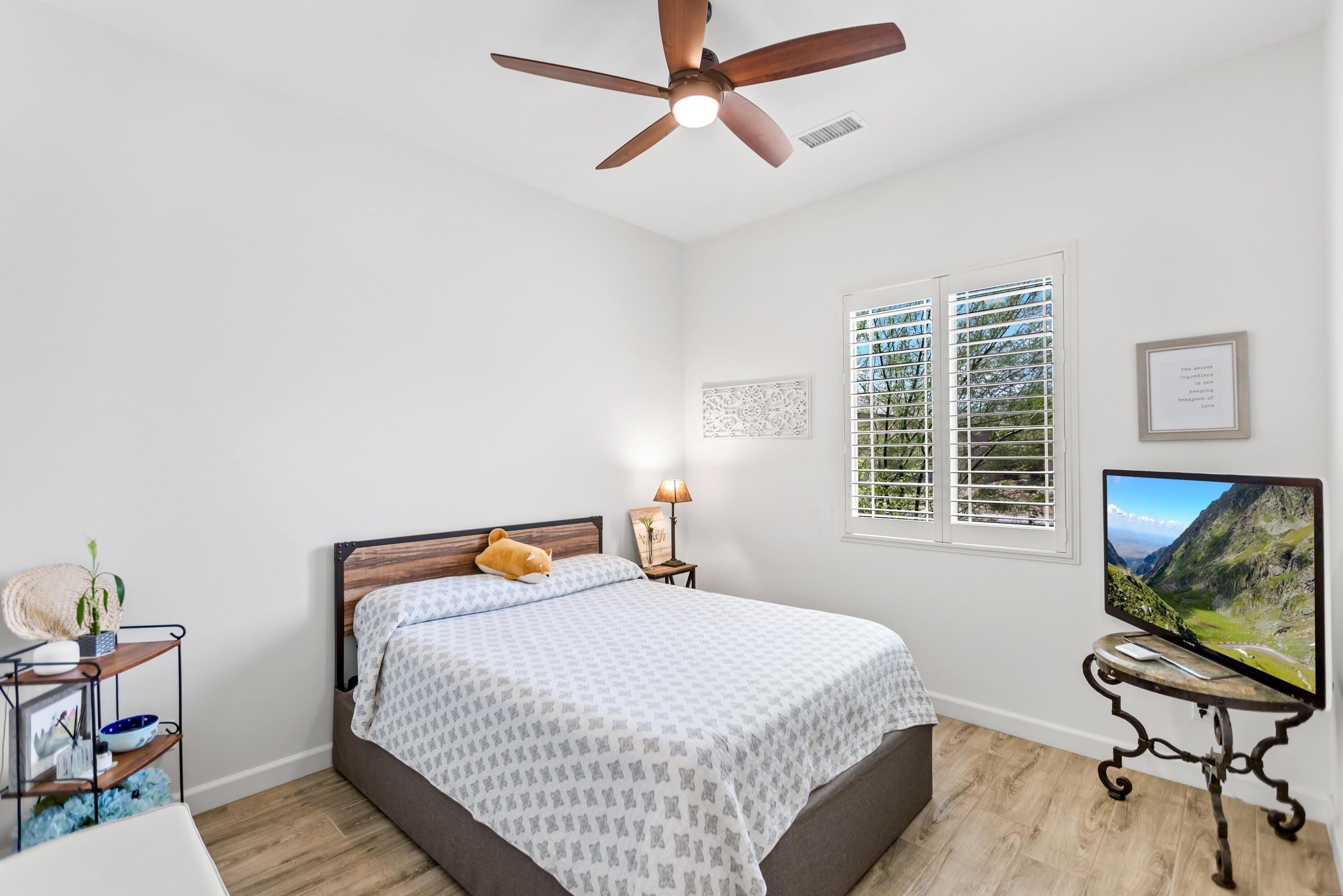 Cork Tree, Rancho Mirage, CA 92270