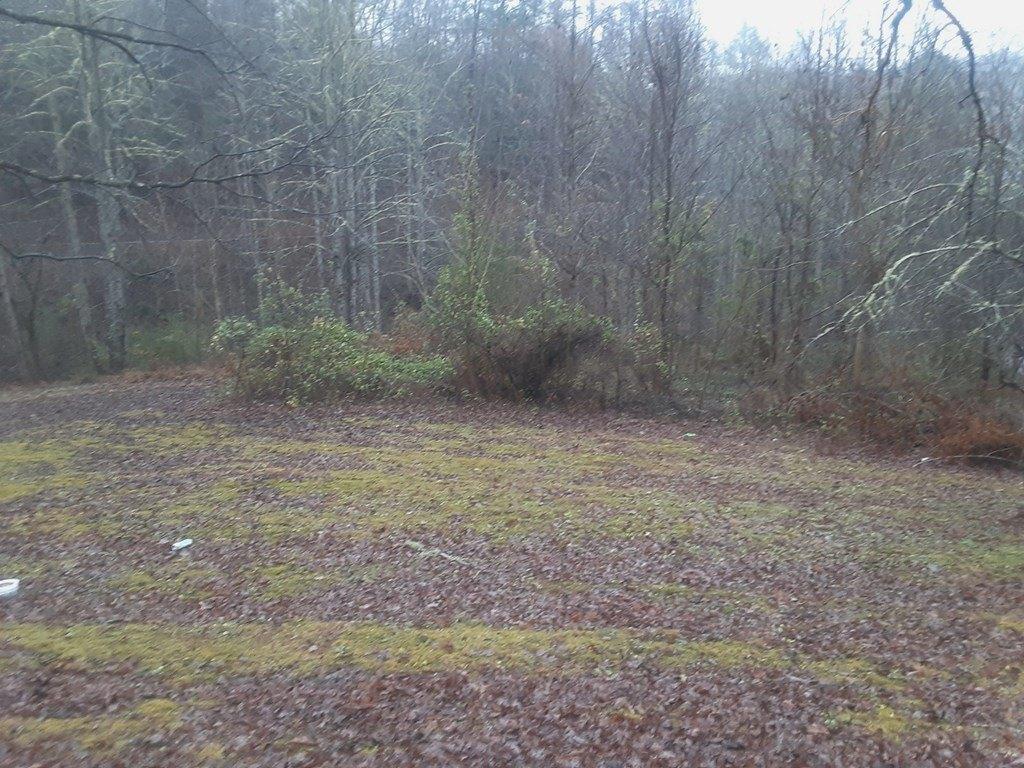 Branam Hollow Ln, Gatlinburg, TN 37738