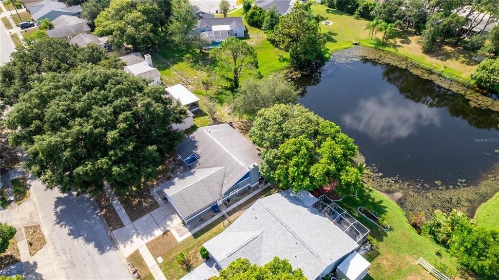Royal Stewart Dr, New Port Richey, FL 34653
