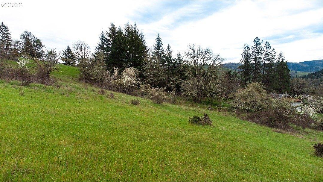 Ne Diamond Lake Blvd, Roseburg, OR 97470